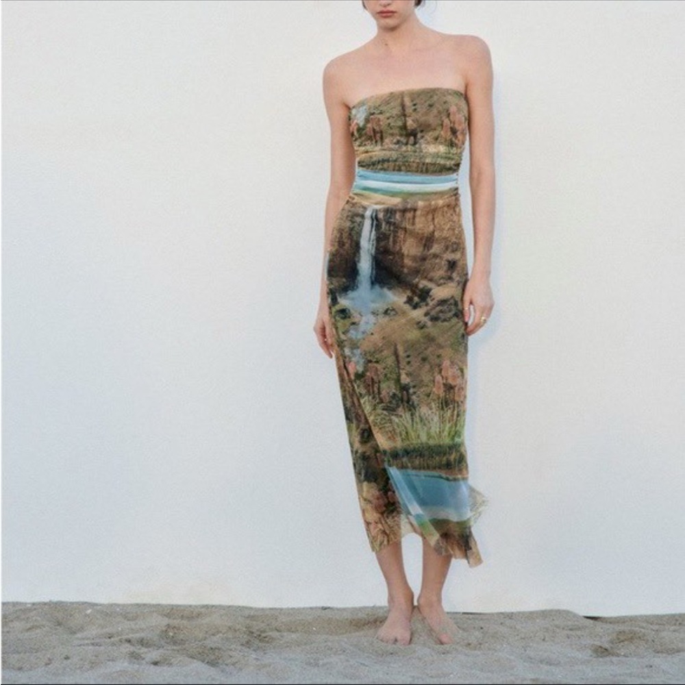 ZARA Scenic Print Strapless Dress